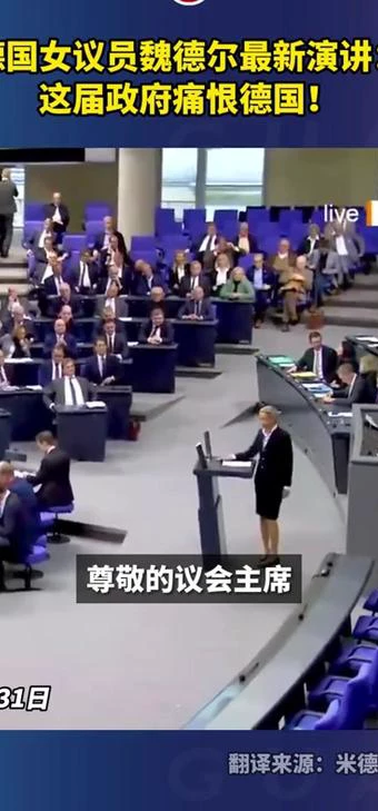 韦德尔大学