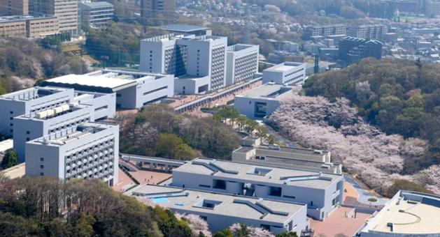 日本中央大学
