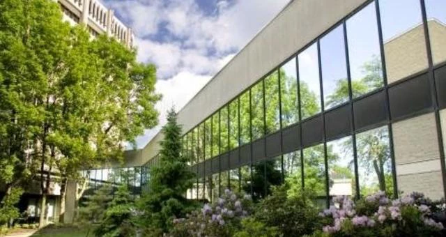 布鲁克大学