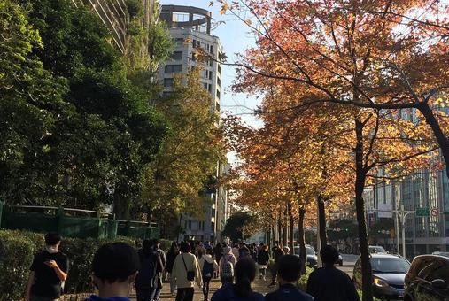 台北市大学