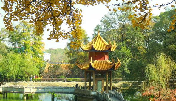山麓学院