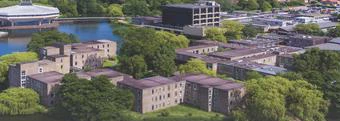 约克大学